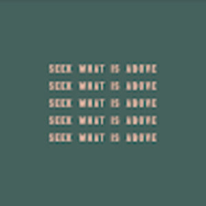 Meet your Posher, Rayven